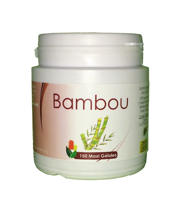 Bambou Tabashir (tige) 120gel