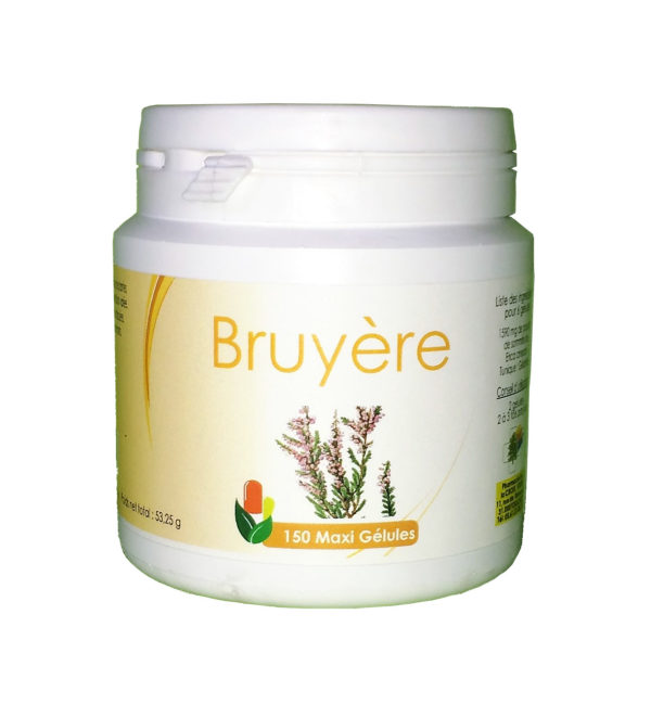 Bruyère (fleur)
