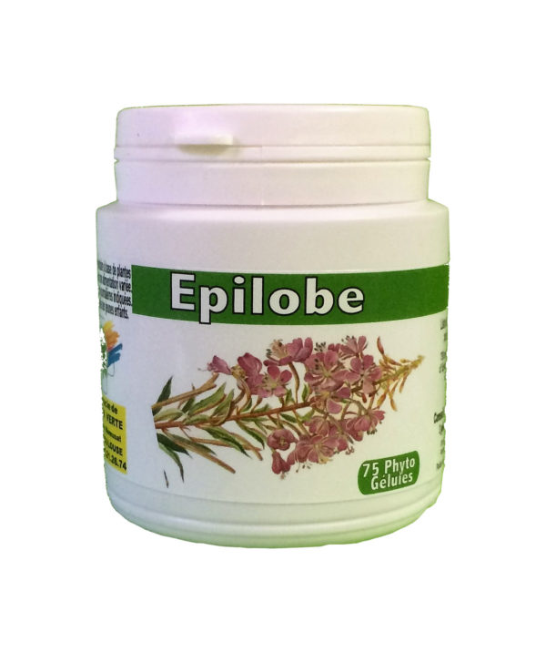 Epilobe (sommités)
