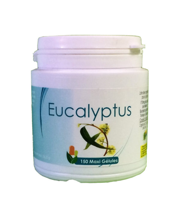 Eucalyptus (feuilles)