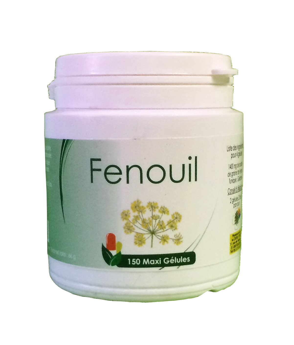 Fenouil – 50 gel. (semences)