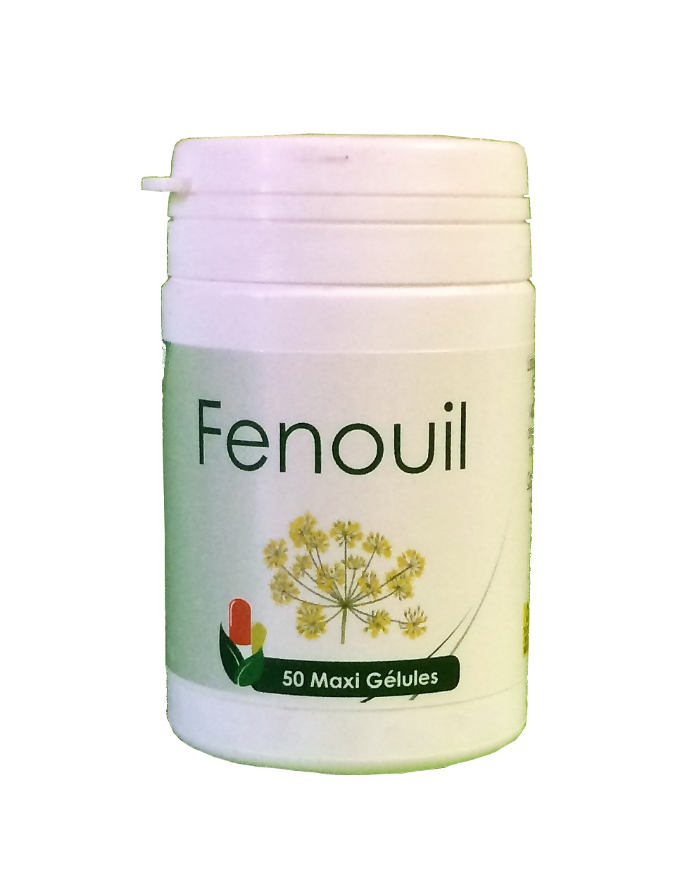 Fenouil – 50 gel. (semences)