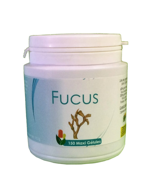 Fucus Ves (thalle)