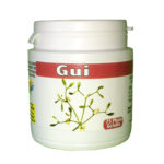 Gui (feuilles)