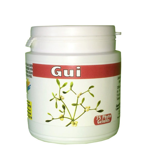 Gui (feuilles)