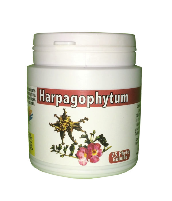 Harpagophytum 75 gélules
