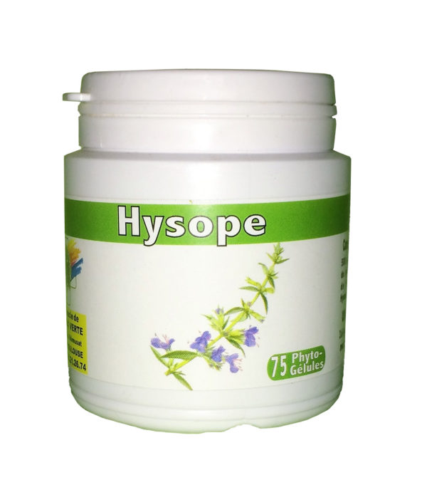 Hysope (feuilles)