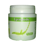 Lycopode (plante)