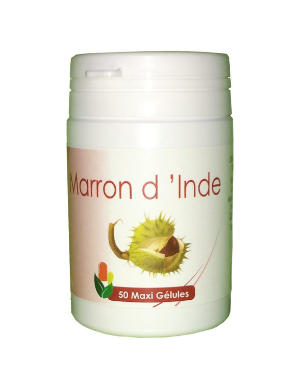 Marron d'Inde - 50 gel. (graines)