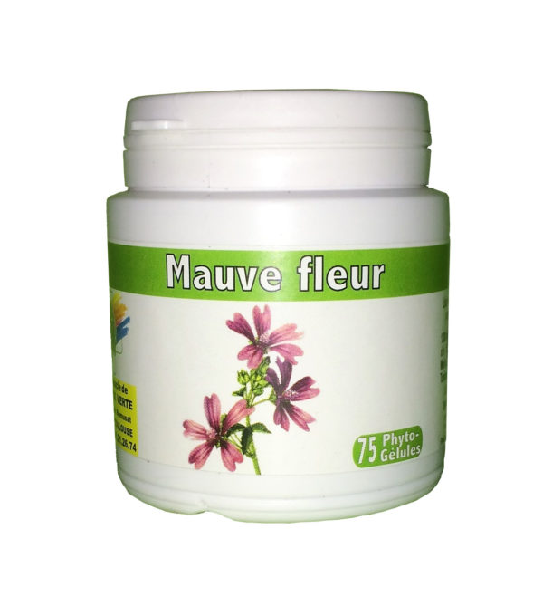 Mauve (fleurs)