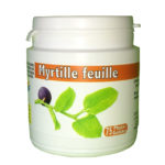 Myrtilles (feuilles)