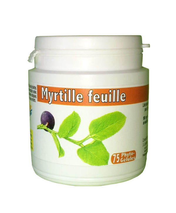 Myrtilles (feuilles)