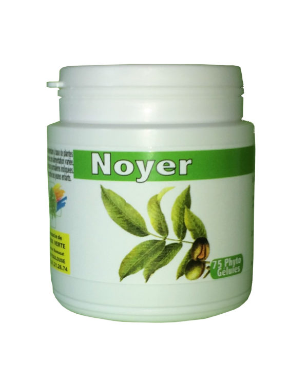Noyer (feuilles)