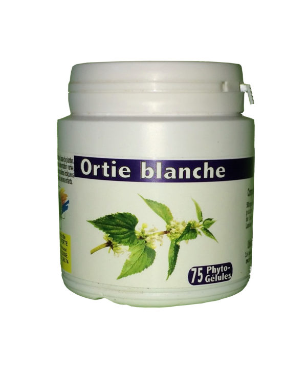 Ortie blanche (fleurs)