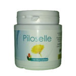 Piloselle (plante)