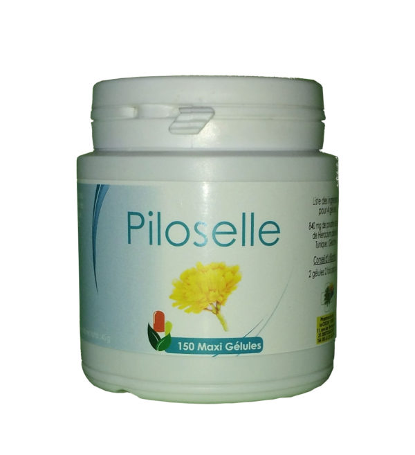Piloselle (plante)