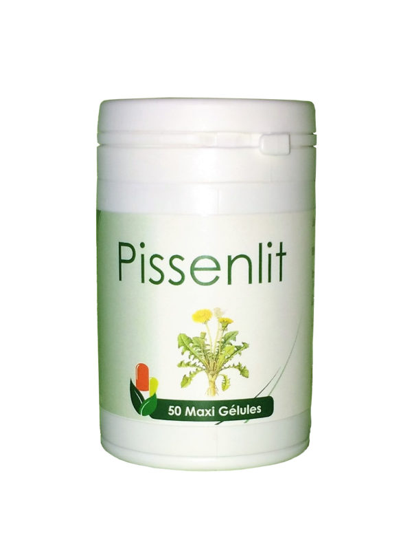 Pissenlit - 50 gel. (racines)