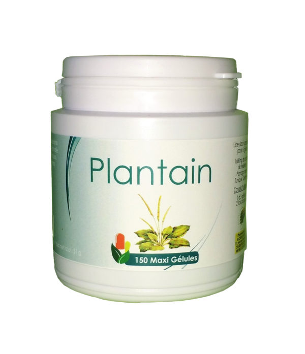 Plantain (plante)