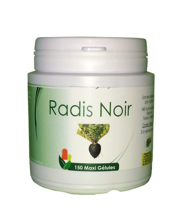 Radis noir (racine)