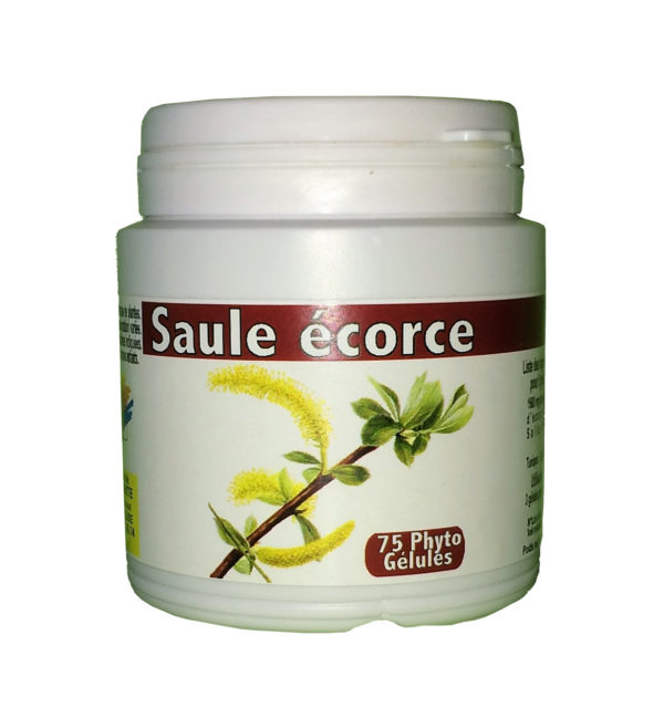 Saule (écorce)